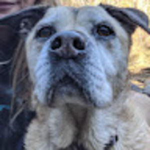 Meet your Posher, Alisha